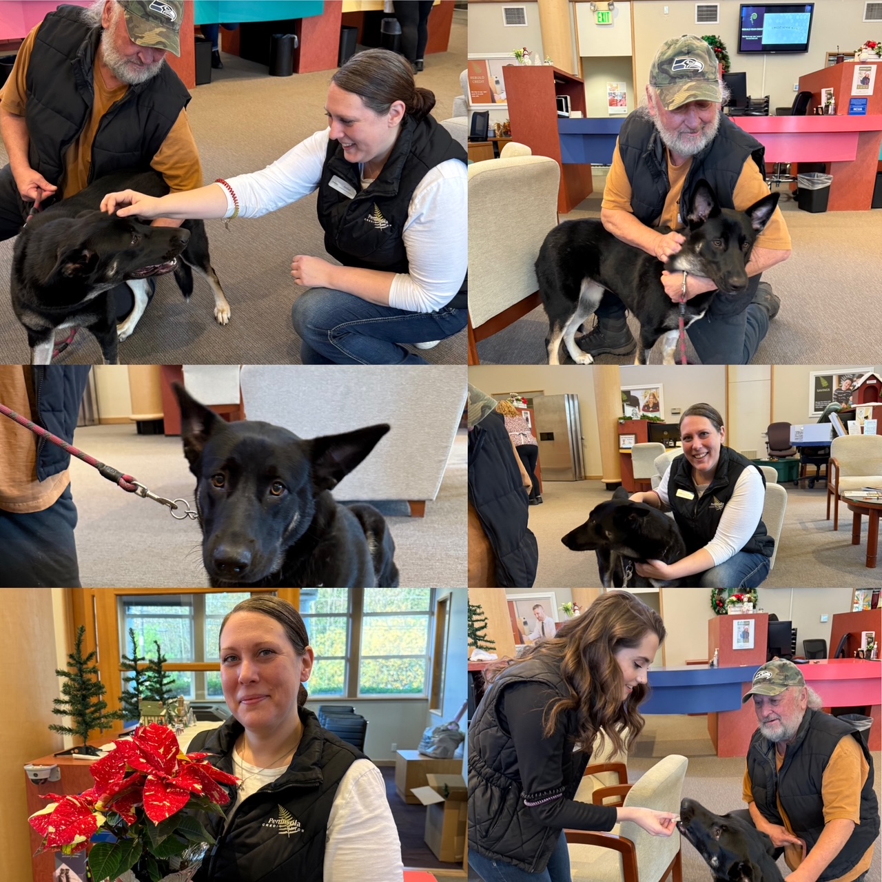 A collage of photos including a puppy and Peninsula team members