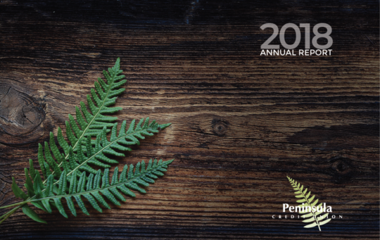 2018 Annual Report Cover