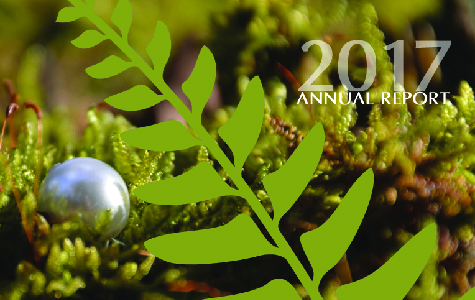 Cover of Annual Report, fern in a moss patch