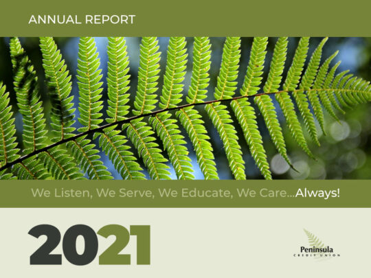2021 Annual Report Cover Image