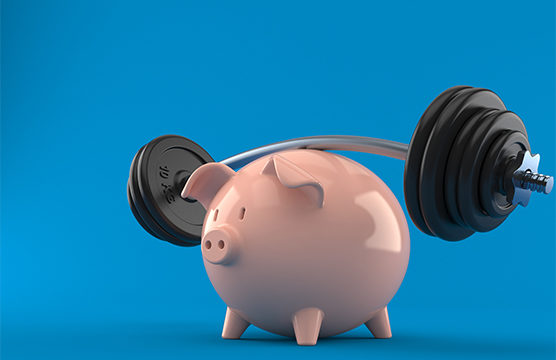 Financial Fitness Pig