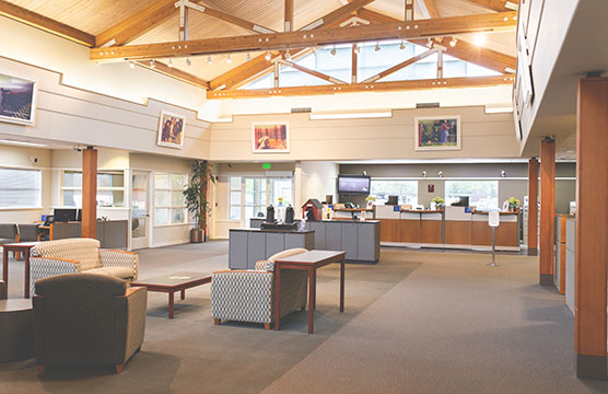 Shelton branch interior