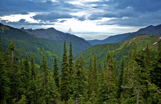 Pacific Northwest landscape