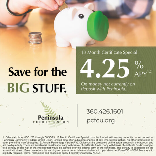 A picture of a piggy bank and text saying 4.25% APY for a 13 month certificate