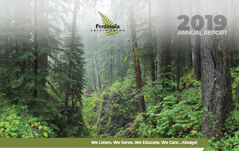 2019 Annual Report Cover Image